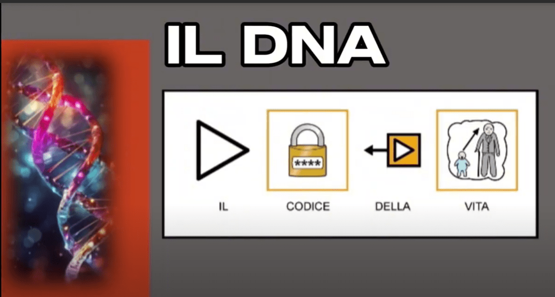 ATTIVITA’ DIDATTICHE